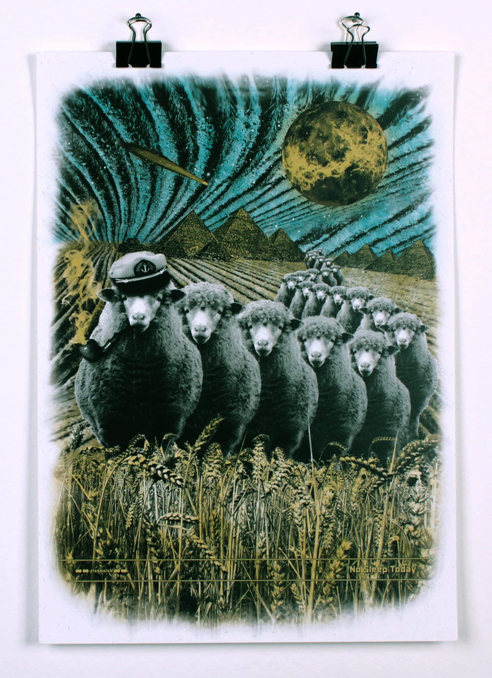 SHEEP-SHIP sheep ship - Image 1