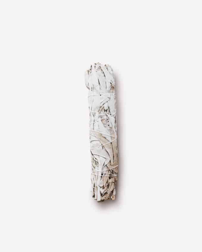 WHITE SAGE L 1 WHITE CALIFORNIA SAGE LARGE - Image 1