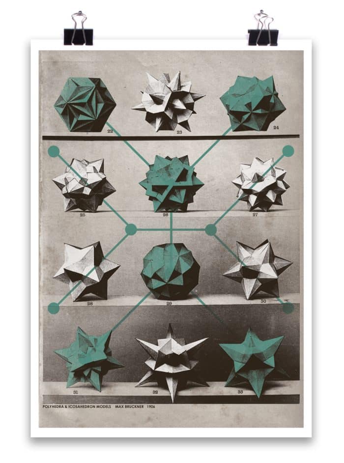 Diatoms POSTER - Image 2