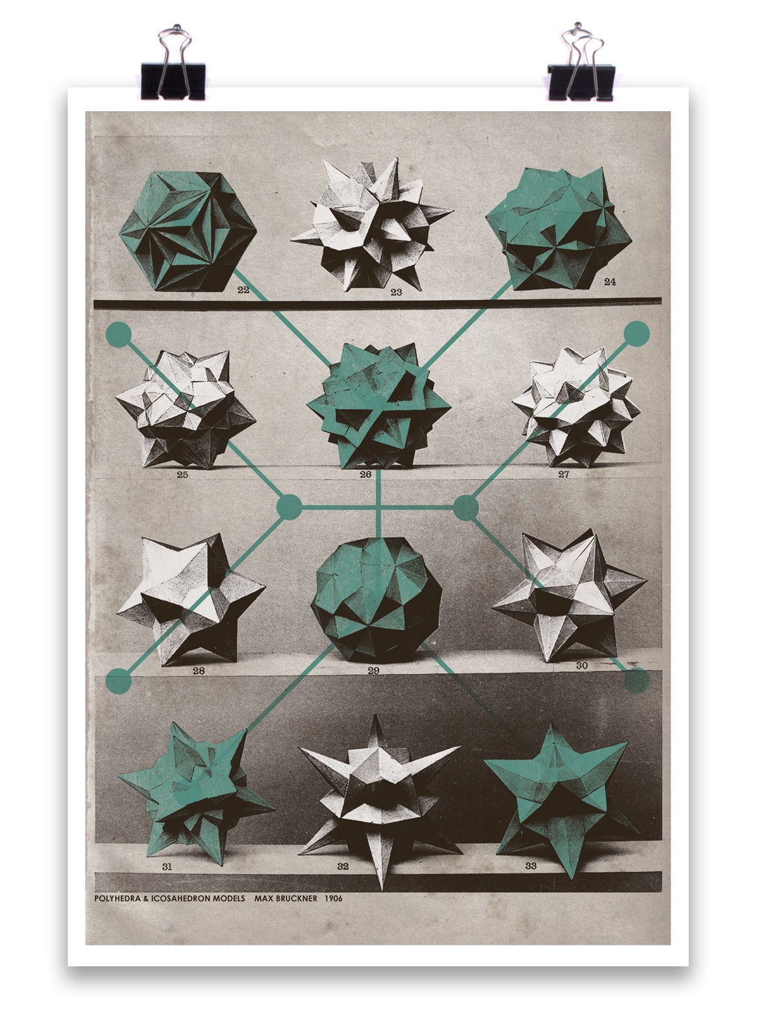diatoms Diatoms POSTER - Image 1
