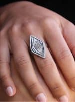 The Fifth Eye Ring